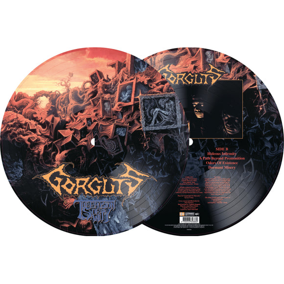 GORGUTS - Erosion Of Sanity LP (PIC.DISC)
