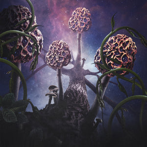 BLUT AUS NORD - Hallucinogen 2LP (PURPLE/BLUE)