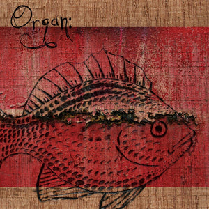 ORGAN: - Organ: 7"EP